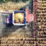 Impactos da reforma tributária no agronegócio