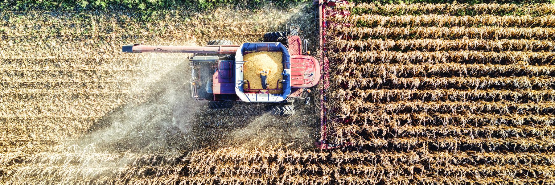 Impactos da reforma tributária no agronegócio