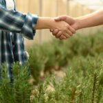 Cooperativismo no agronegócio: oportunidades e desafios com a reforma tributária