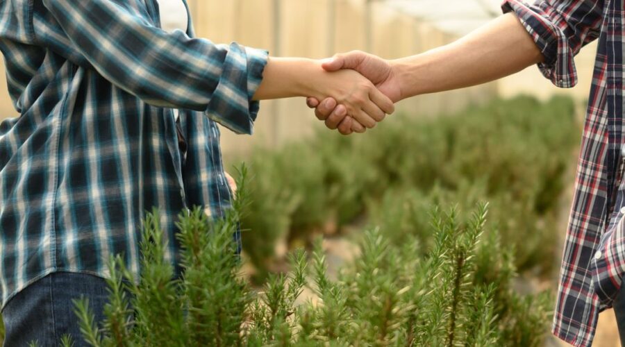 Cooperativismo no agronegócio: oportunidades e desafios com a reforma tributária